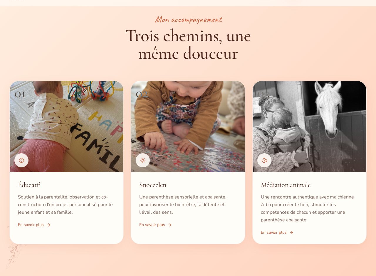 Les approches de Pas à Pas présentées séparément : éducatif, snoezelen et médiation animale